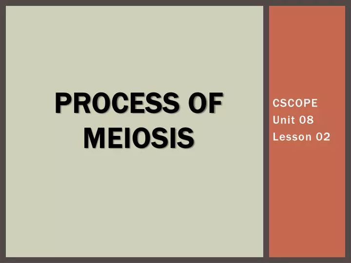 process of meiosis