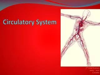 Circulatory System