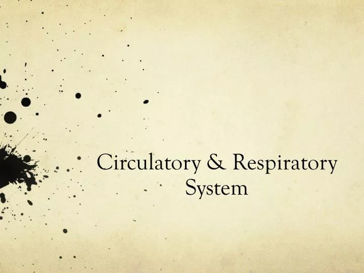 circulatory respiratory system