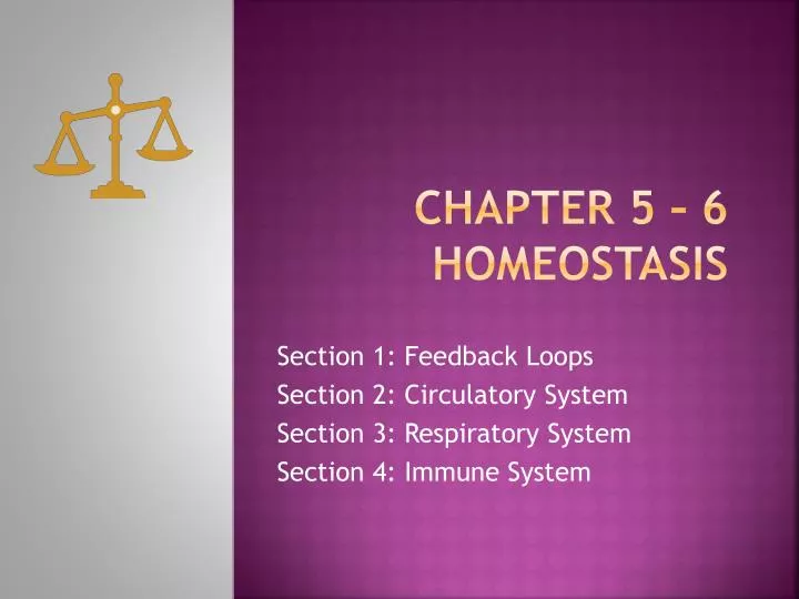chapter 5 6 homeostasis
