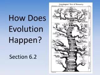 How Does Evolution Happen?