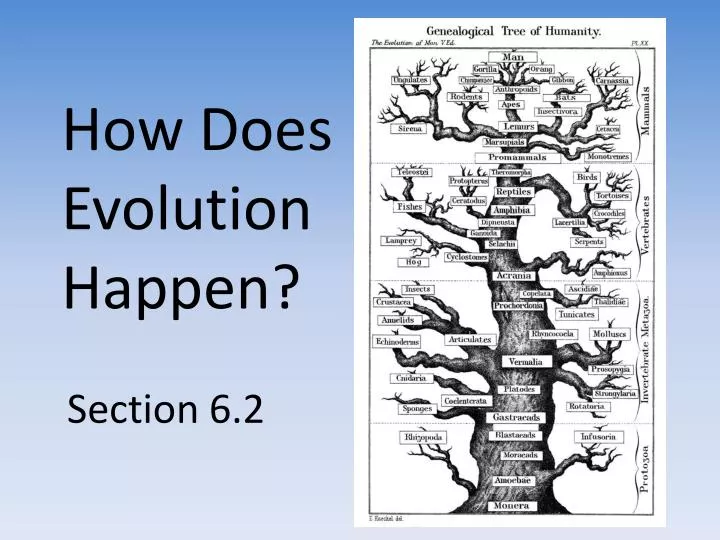 how does evolution happen