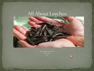 All About Leeches