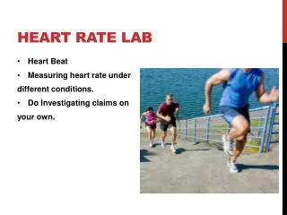 Heart Rate Lab