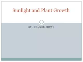 Sunlight and Plant Growth
