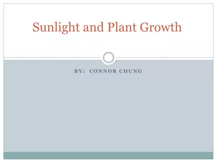 sunlight and plant growth