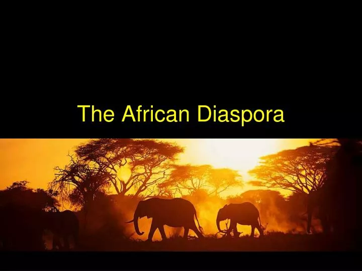 the african diaspora