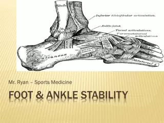 FOOT &amp; ANKLE STABILITY