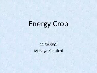 Energy Crop