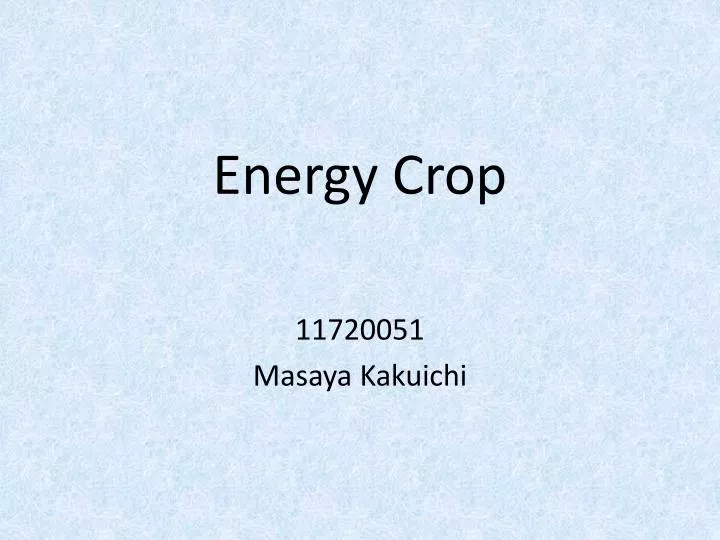 energy crop