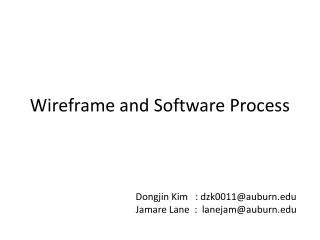 Wireframe and Software Process