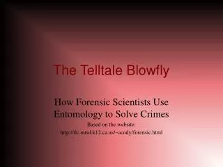 The Telltale Blowfly