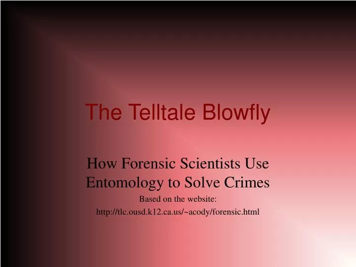 the telltale blowfly