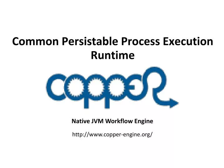 common persistable process execution runtime