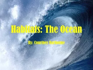 Habitats: The Ocean