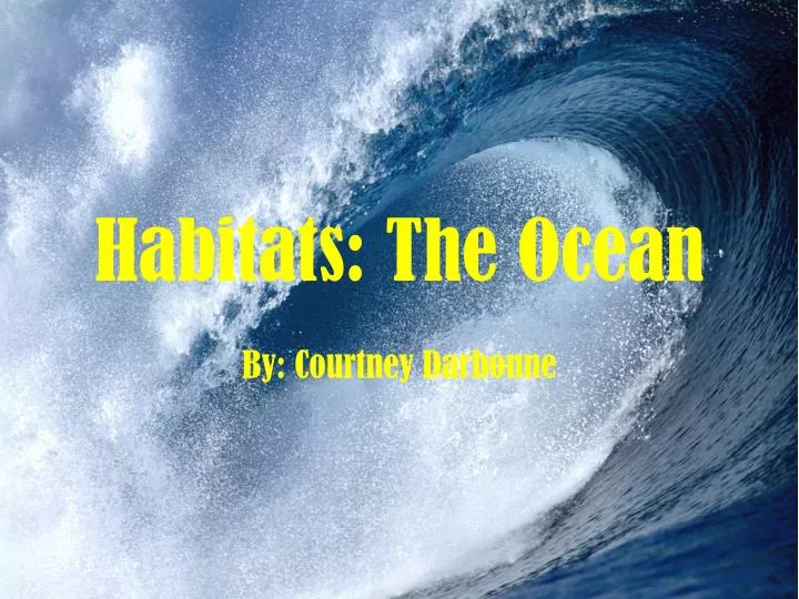 habitats the ocean
