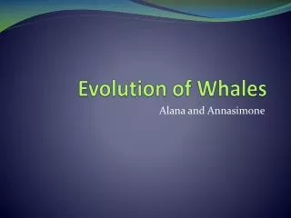 Evolution of Whales