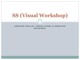 SS (Visual Workshop)