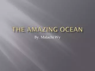 The Amazing Ocean