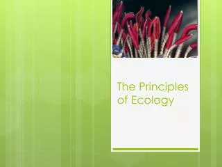 The Principles of Ecology