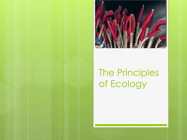 the principles of ecology