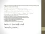 Animal Growth and Development - slide 1