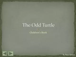 The Odd Turtle