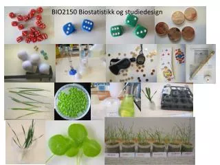 BIO2150 Biostatistikk og studiedesign