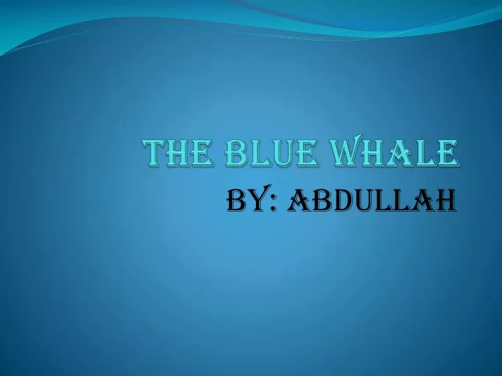 the blue whale