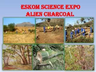 Eskom Science Expo Alien Charcoal