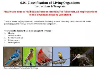 6.01 Classification of Living Organisms Instructions &amp; Template