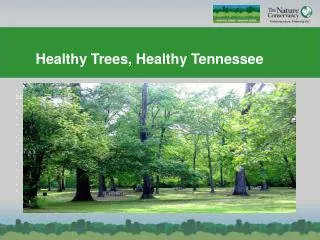 Healthy Trees, Healthy Tennessee