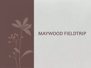 Maywood Fieldtrip