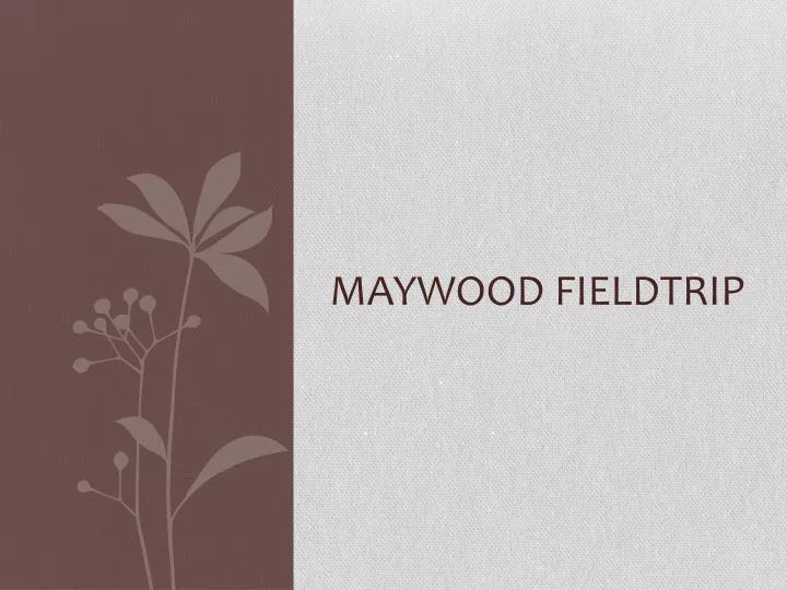maywood fieldtrip