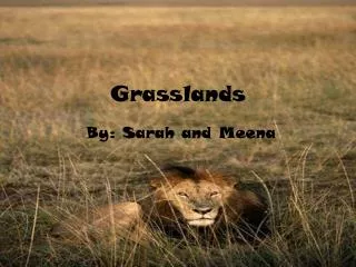 Grasslands