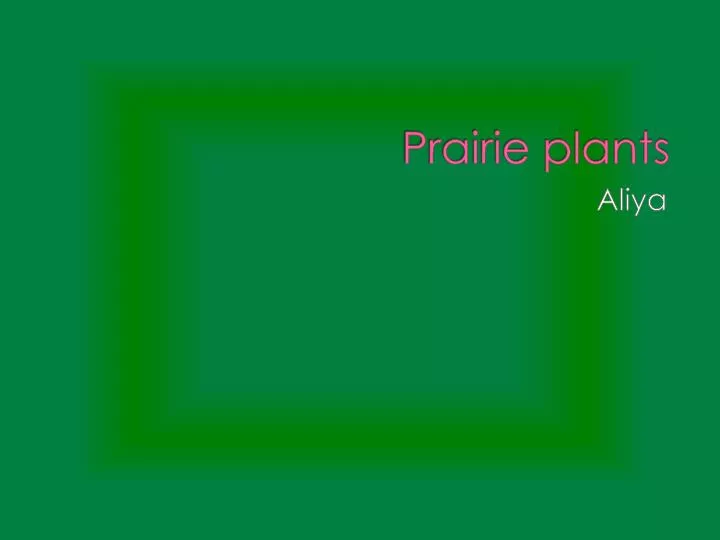 prairie plants