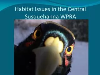 Habitat Issues in the Central Susquehanna WPRA