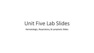 Unit Five Lab Slides