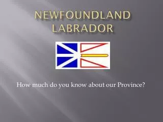 Newfoundland Labrador