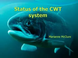 Status of the CWT system