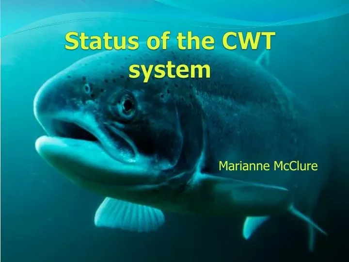 status of the cwt system