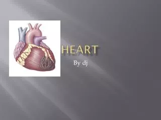 heart