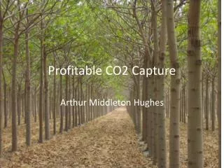 Profitable CO2 Capture