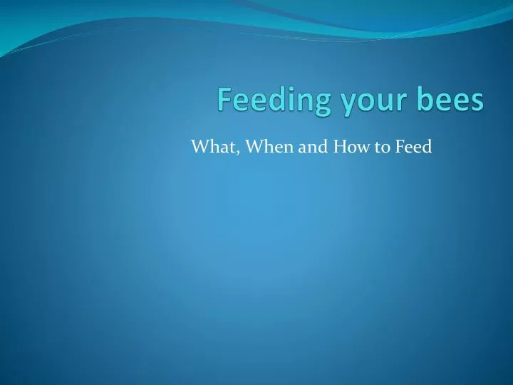 feeding your bees