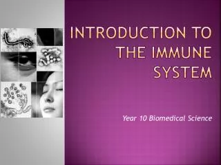 Introduction To The Immune System