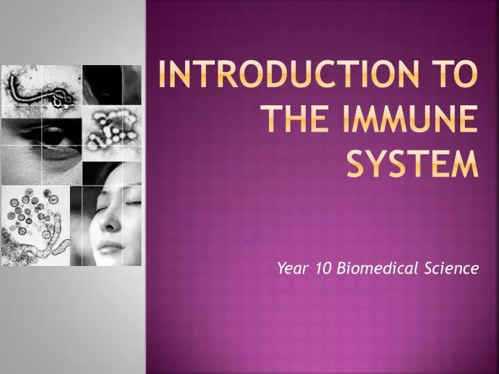 introduction to the immune system