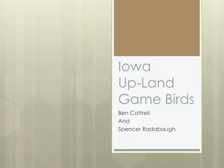 iowa up land game birds