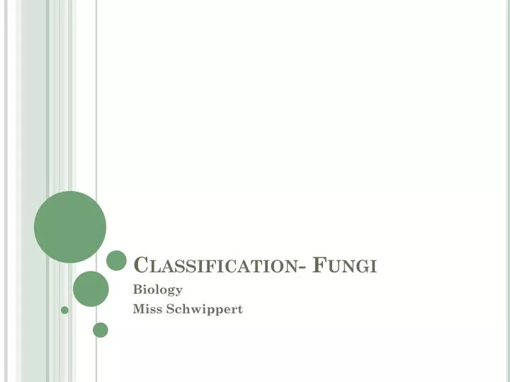 classification fungi