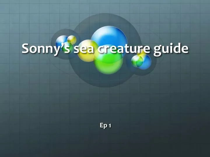 sonny s sea creature guide