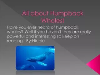 All about Humpback Whales!